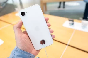 新手如何快速掌握软件免费分发技巧？